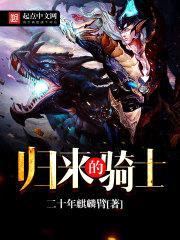 归来的骑士封面