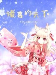 诸葛的天下封面