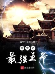 重生之最强王爷封面