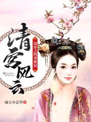 清宫风云：清穿之四爷娇妃封面