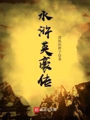 水浒英豪传封面
