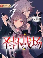圣杯战场封面