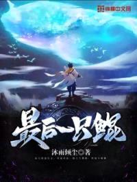 最后一只鲲封面