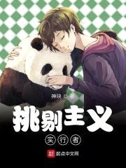 挑剔主义实行者封面