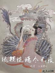 魂锁琉璃尽无痕封面