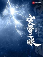 灾雷之眼封面