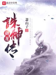 御龙诛神传封面