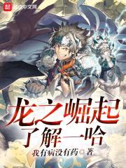 龙之崛起了解一哈封面