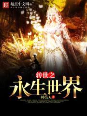 转世之永生世界封面