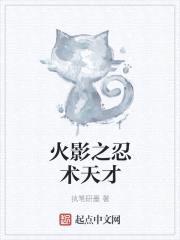 火影之忍术天才封面