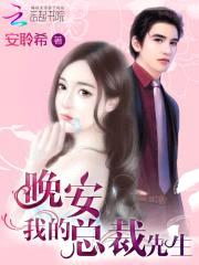 晚安，我的总裁先生封面