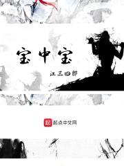 宝中宝封面