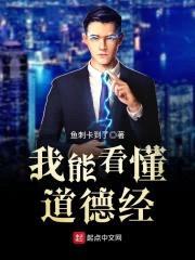 我能看懂道德经封面