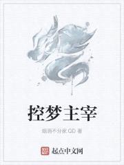 控梦主宰封面