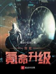 我能氪命升级封面
