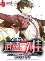 我的武魂是外挂封面