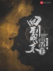 回到明末做岛主封面