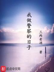 我做警察的日子封面