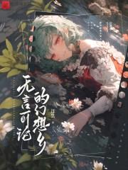 无言可论的幻想乡封面