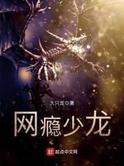 网瘾少龙封面