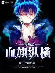 海贼之血旗纵横封面