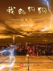 我的狗狗有系统封面