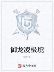 御龙凌极境封面