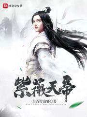 紫薇天帝封面