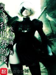 两个平行世界的我封面