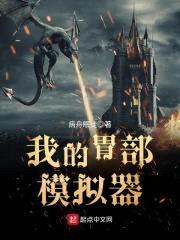 我的胃部模拟器封面