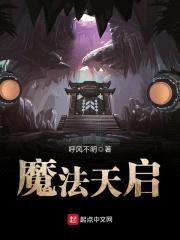魔法天启封面