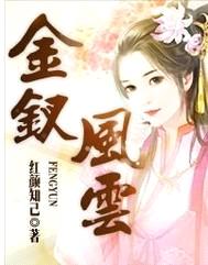 金钗风云封面