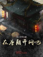 在唐朝开网吧封面