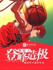 灌篮之登峰造极封面
