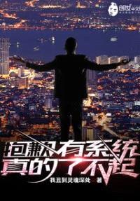 抱歉，有系统真的了不起封面