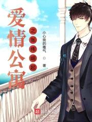 爱情公寓之张伟崛起封面