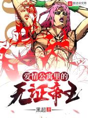 爱情公寓里的无证帝王封面