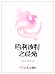 哈利波特之晨光封面