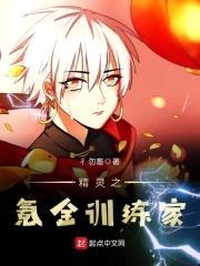 精灵之氪金训练家封面