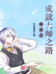 精灵之成就大师之路封面