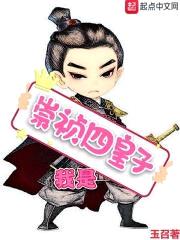 我是崇祯四皇子封面