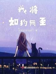 我将如约而至封面