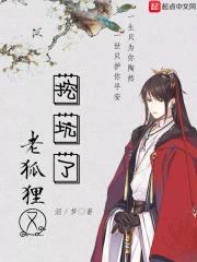 老狐狸又挖坑了封面