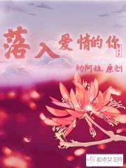 情难向北若爱向南封面