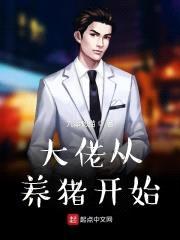 大佬从养猪开始封面