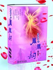 情深缘浅之凤凰劫封面