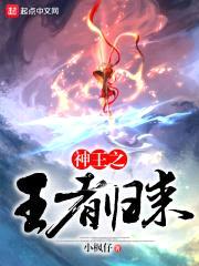 神王之王者归来封面