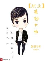 职业策划大师封面