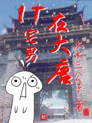 IT宅男在大唐封面