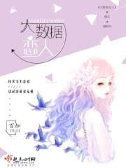 大数据恋人封面